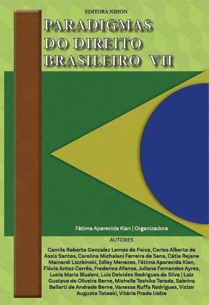 Paradigmas do Direito Brasileiro Volume VII